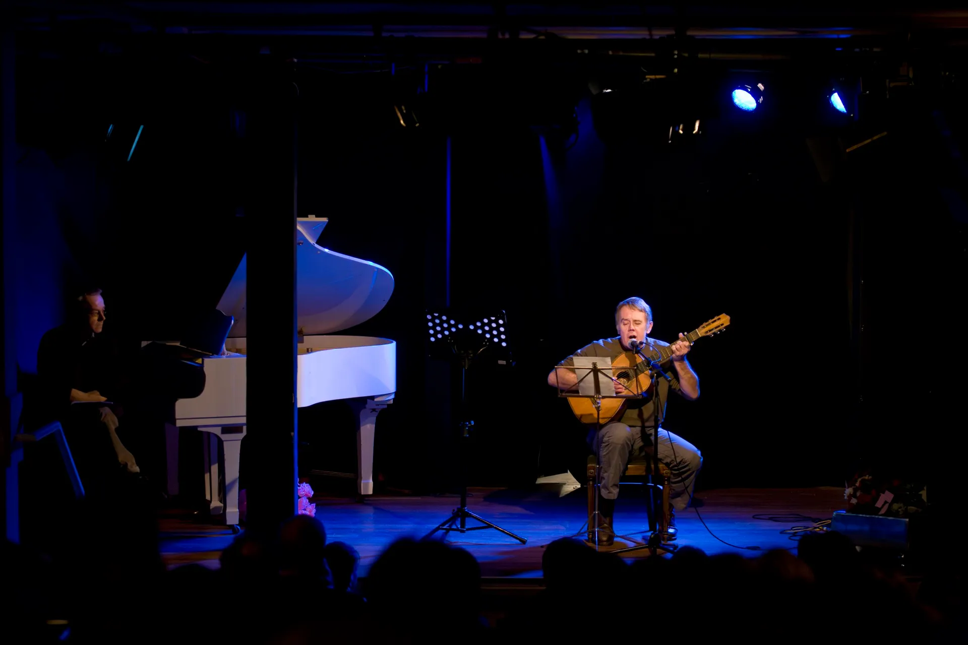 Intiem concert met gitarist